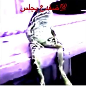 Meet your Posher, Devon